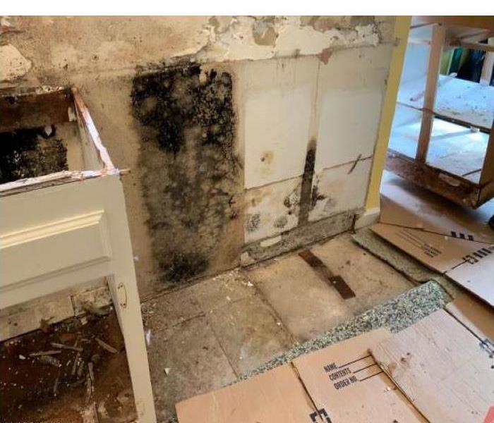 Water and mold damage